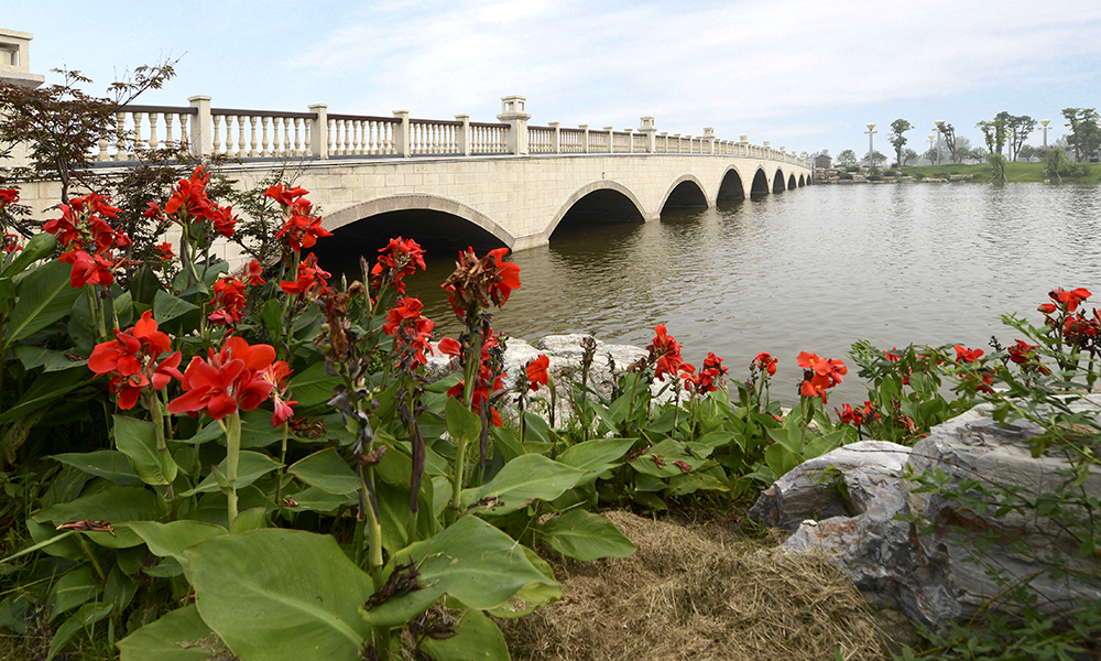江蘇大豐斗龍港公園環(huán)境修復(fù)項(xiàng)目