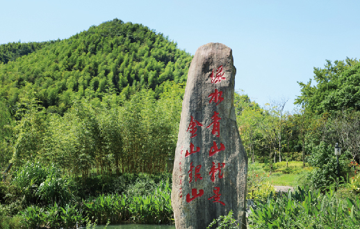 聚焦“雙碳” | 太陽成集團(tuán)tyc環(huán)境-新至雙碳林業(yè)碳匯項目落...