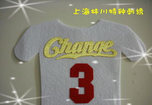 熱轉(zhuǎn)印彩色仿繡花3D印標 價格、廠家與圖片全解析