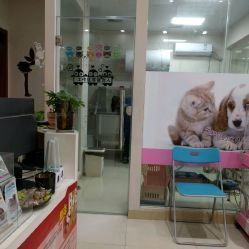 洪星1998寵物店詳細(xì)信息 電話、地址、價格、營業(yè)時間及圖片